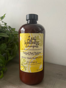  Lemongrass Leaf Wellness