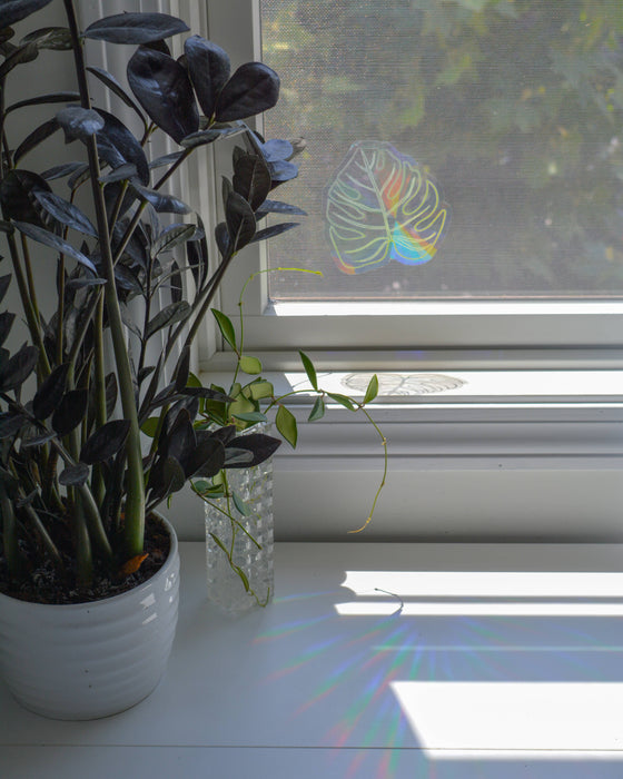 Monstera Suncatcher